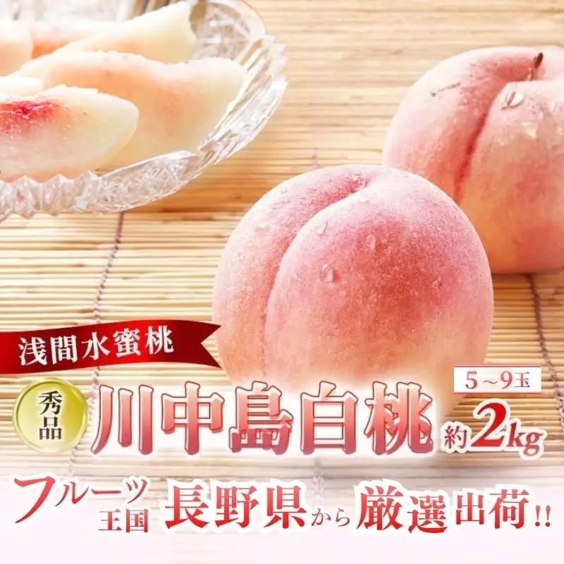 桃 川中島白桃 秀品 約2kg 5～9玉 果物 フルーツ 桃