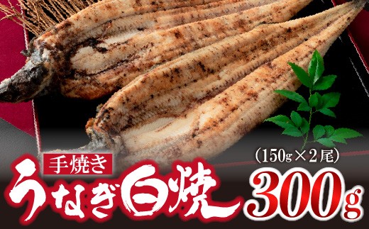 九州産手焼きうなぎ白焼き 2尾（約300g） [M635-1]