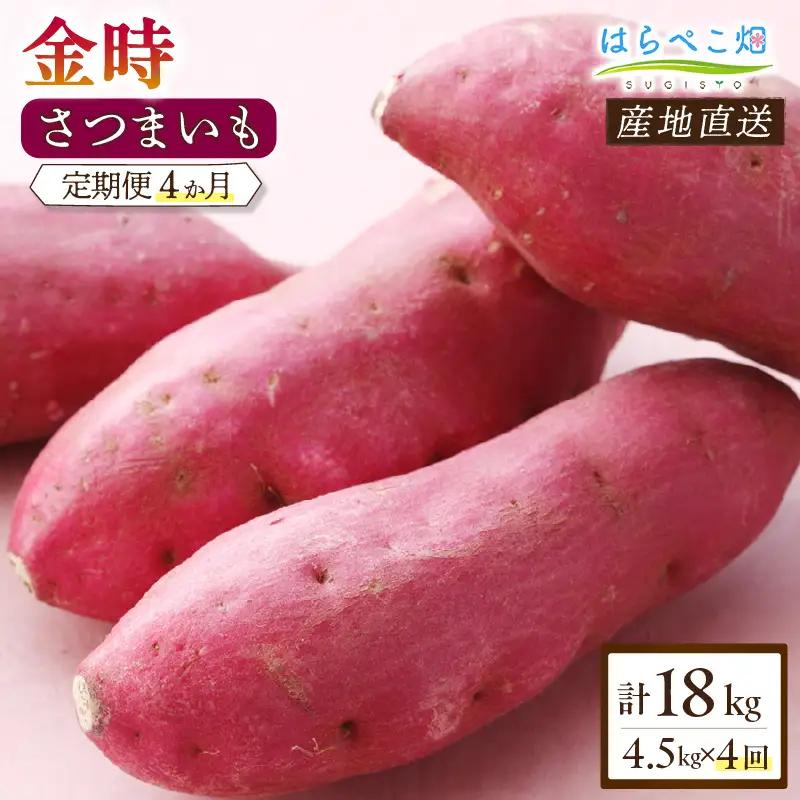 【定期便4ヶ月】さつまいも 金時 4.5kg・H132