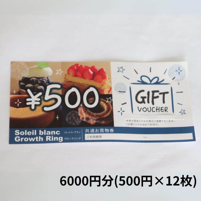 【ふるさと納税】店舗利用券6000円分
