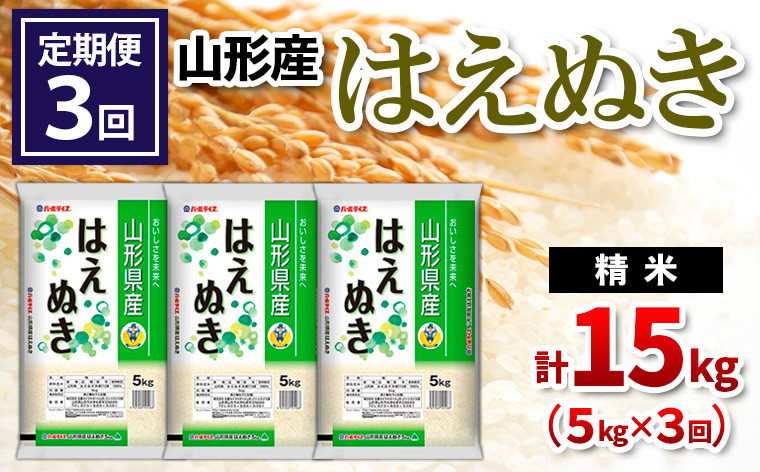 
            【定期便3回】山形県産 はえぬき 精米 5kg×3回(計15kg) FY24-535
          