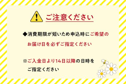 国産非加熱はちみつ使用 はちみつマドレーヌ15個セット_J01026