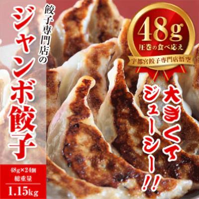 ふるさと納税 宇都宮市 【毎月定期便】餃子専門店 宇都宮悟空 ジャンボ餃子24個入全3回
