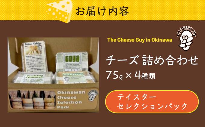 チーズ 詰め合わせ テイスターセレクションパック (75g × 4種類)   I  チーズ 詰め合わせ テイスター セット 4種 食べ比べ おつまみ  沖縄県 南城市