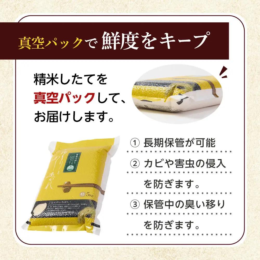 令和7年産 ゆめぴりか 無洗米 真空パック 5kg×4個（合計20kg） | ゆめぴりか_02166