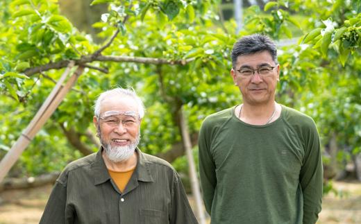 ［梅干・梅酒用］（4Lまたは3L−2Kg）熟南高梅＜2026年6月上旬〜7月7日発送予定＞フルーツ 果物 くだもの 食品 人気 おすすめ 送料無料［ART10］