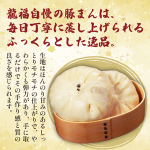 【中華まん】 野菜まん 12個 中華まん