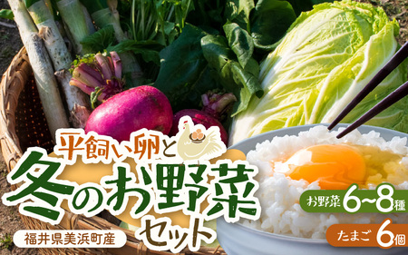 【先行予約】お野菜セット 旬の冬野菜と平飼い卵のお楽しみボックス【2025年12月上旬順次発送予定】【野菜 卵 セット 新鮮野菜 新鮮卵 詰め合わせ 農家直送 旬野菜 季節限定 旬の味覚 鍋 平飼い 卵焼き たまご】 [m75-a001]