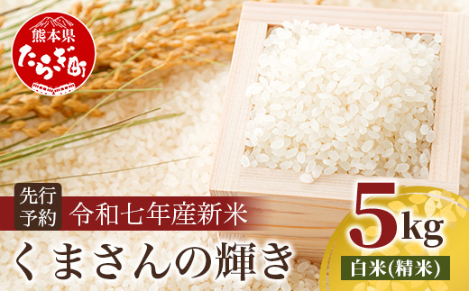 令和7年産 新米 くまさんの輝き 5kg (令和7年10月中旬より順次発送) 新米 熊本県 多良木町 お米 5キロ 米 白米 精米 107-0701