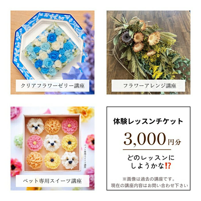 【ふるさと納税】 体験チケット　3000円分 ／ 習い事 レッスン 達成感 送料無料 大阪府 No.285