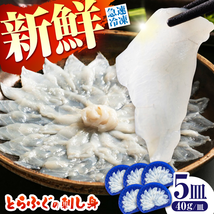【新鮮！贅沢おつまみ】トラフグの刺し身（小皿/40g）×5枚 / とらふぐ 刺身 紅葉おろし トラフグ ふぐ フグ 河豚 刺し身 / 南島原市 / 株式会社 FUKUNOTANE [SFJ002]