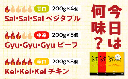 レトルトカレー「ボングスタ！」２０個詰め合わせ