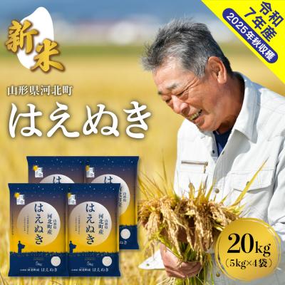 ふるさと納税 河北町 【令和7年産米】2025年12月下旬発送 はえぬき20kg(5kg×4袋) 山形県産