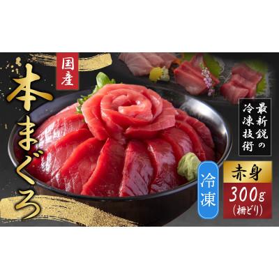 ふるさと納税 福井市 【最新鋭の冷凍技術 刺身用】本まぐろ 赤身 300g(柵どり)
