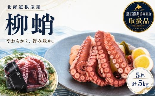 D-20011 【北海道根室産】柳蛸ボイル5杯(計5kg)[8月上旬以降発送]