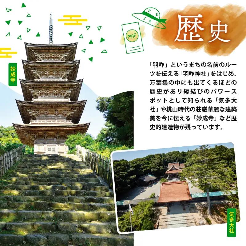 [WH002] 令和7年産 自然栽培米 越田さんちの日本晴 玄米 5kg