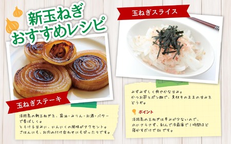 海月館 自社農場栽培！淡路島産 玉ねぎ 10kg