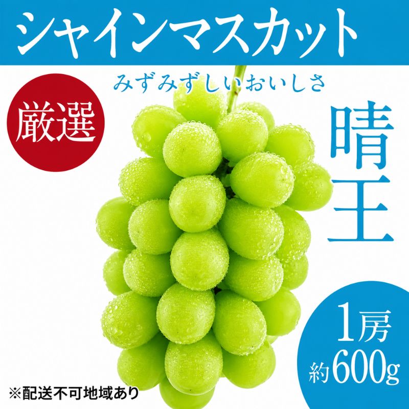 【ふるさと納税】ぶどう 2026年 先行予約 シャイン マスカット 晴王 1房 約600g ブドウ 葡萄 岡山県船穂産 国産 フルーツ 果物 ギフト デザート 食後 酸味が少ない 産地直送　お届け：2026年9月中旬～2026年10月下旬