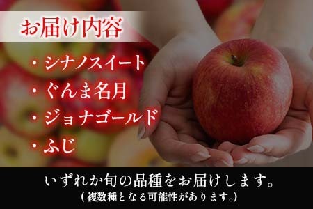 りんご 訳あり ご家庭用 約5kg 中前農園の芸北りんご 農家直送 シナノスイート ぐんま名月 ジョナゴールド ふじ_NA099_002