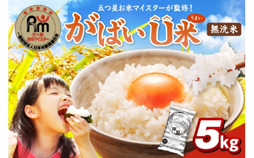 
                  伊万里産 がばいＵ米(うまい) ブレンド米 【無洗米】5kg お米マイスター厳選 086-B1162
                