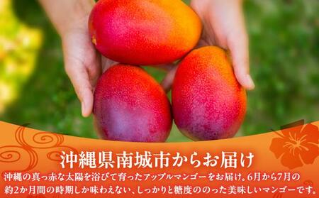 【先行予約】アップルマンゴー12kg　2回に分けて発送