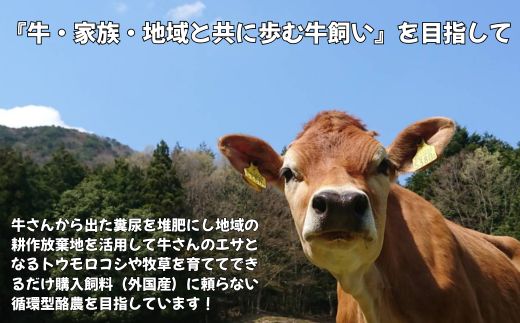 ストリングチーズ 200g (100g×2) さけるチーズ【榎本牧場チーズ工房】