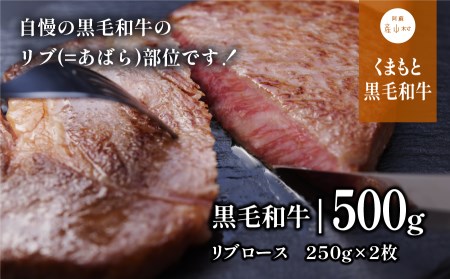 黒毛和牛・リブロース500g【熊本県畜産農業協同組合】