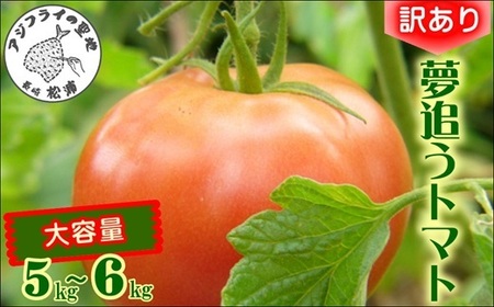 訳あり！ご家庭用に大活躍 夢追うトマト5kg～6kg【B0-244】