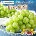 【ふるさと納税】＜25年発送先行予約＞露地山梨県産 シャインマスカット 1房約700g程度 ふるさと納税 シャインマスカット 笛吹市 国産 人気 期間限定 ぶどう ブドウ 葡萄 旬 果物 フルーツ ギフト 贈り物 プレゼント 山梨県 送料無料 先行予約 177-012