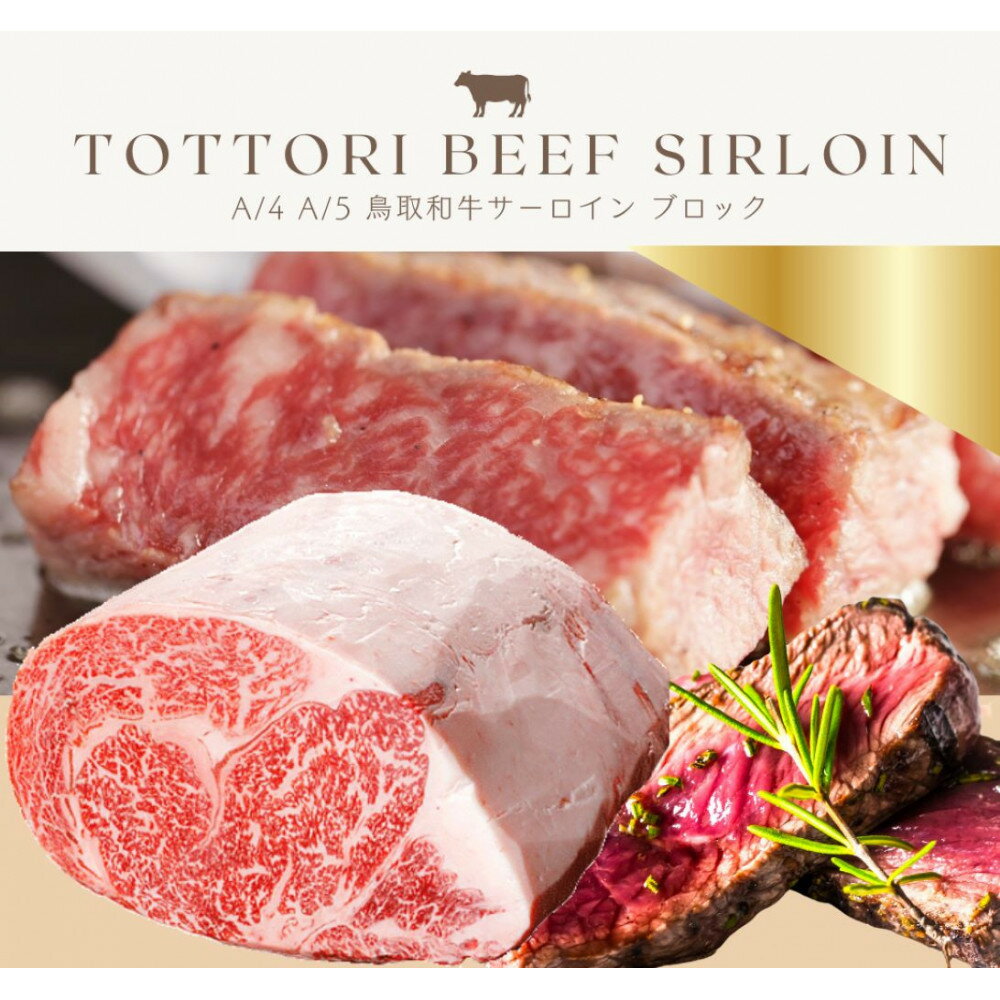 【ふるさと納税】鳥取和牛 サーロインブロック 3kg | 鳥取 鳥取和牛 サーロインステーキ ステーキ 和牛 鳥取県 鳥取市