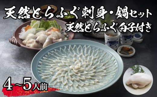 【 先行予約 】 天然とらふぐ刺身・鍋セット【天然白子付き】（4～5人前） 冷蔵 海鮮 ふぐ トラフグ てっさ ふぐ刺し ふぐ刺身 ふぐちり ちり鍋 ふぐ鍋 海鮮鍋 鍋 ひれ てっちり 下関 山口【3月より発送】