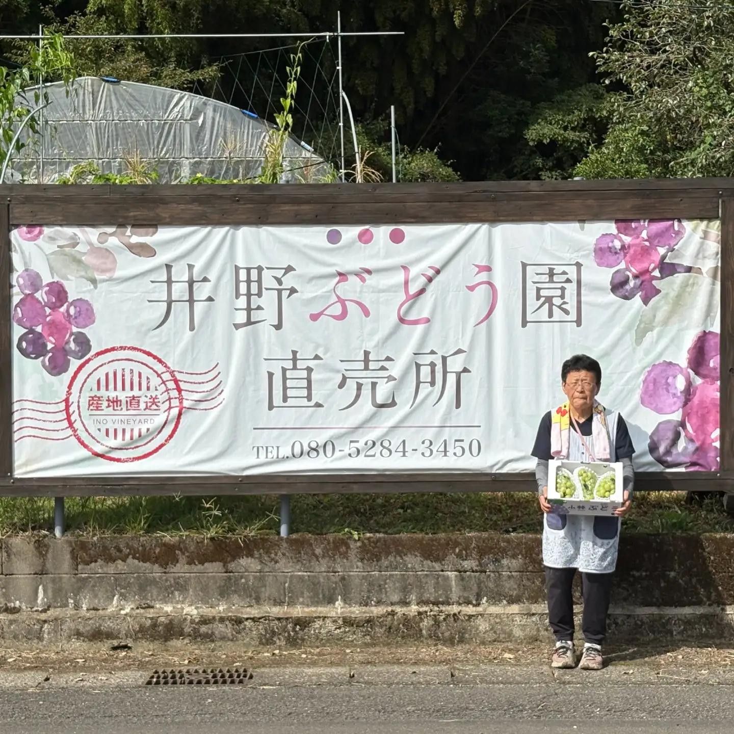 ぶどう 小林市産シャインマスカット　約2㎏