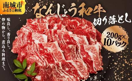 《使い勝手抜群!!》 和牛切り落とし 200g×10パック なんじょう和牛 合計400g |黒毛和牛 和牛 切り落とし モモ ウデ バラ 沖縄県 南城市 牛肉【TM0305】