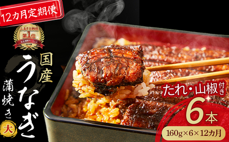 【鰻大好き定期便】四万十うなぎ蒲焼き≪大≫12カ月定期 160gx6本／ うなぎ 鰻 蒲焼 土用の丑の日