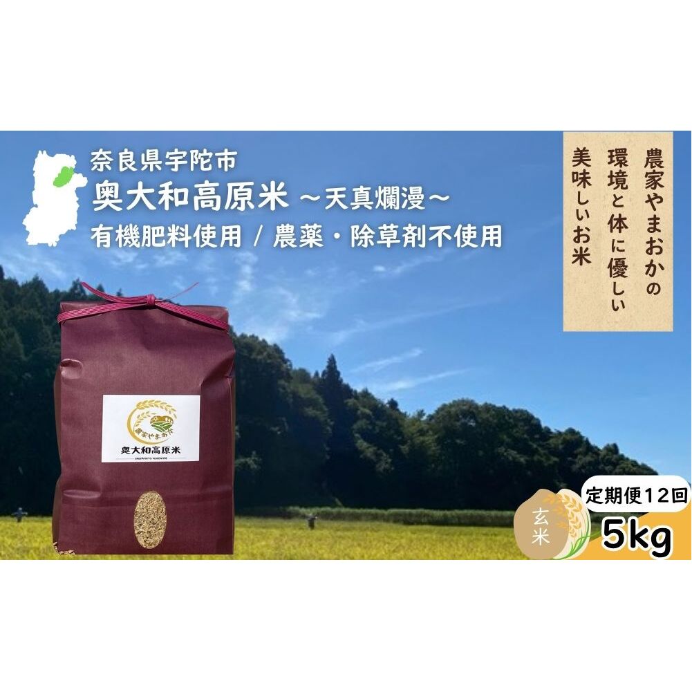 【定期便12回】天真爛漫 奥大和高原米  ＜令和7年産 玄米 5kg＞ ／ ふるさと納税 無農薬 米 お米 こめ コメ 国産 新米 玄米 一等米 農家やまおか 有機肥料使用 農薬不使用 除草剤不使用 