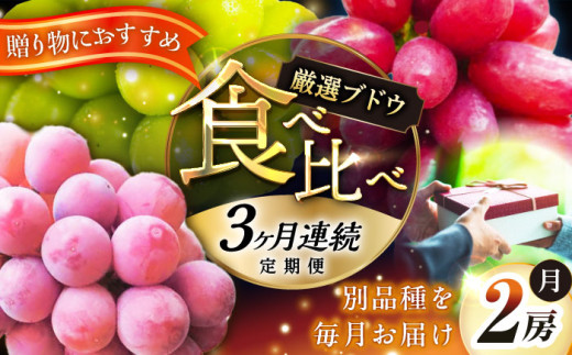 フルーツ        【全3回定期便】【2026年先行予約】【30個限定】【秀品】毎月ぶどうをお届け！イチオシ3品種 各2房  厳選 シャインマスカット マスカット ブドウ ぶどう 葡萄 大粒 季節 夏 限定 優品 果物 フルーツ お取り寄せ 旬 贈答 プレゼント 定期便 クイーンニーナ クイーンセブン 糖度 人気 おすすめ 一押し 定期便 島根県雲南市/ギアファーム [AIAB010]