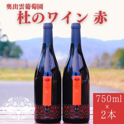 ふるさと納税 雲南市 杜のワイン赤 750ml×2本 辛口ワイン 赤ワイン2本