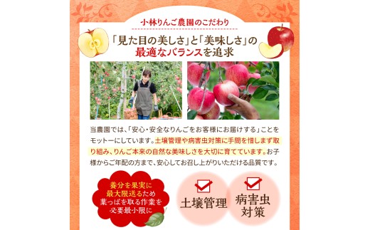 【先行受付】【11月中旬以降順次発送】 りんご 3kg ぐんま名月 【訳あり】 青森県産  群馬名月 名月 農家直送 傷 キズ ワケアリ 林檎 リンゴ apple 青森県 五所川原市