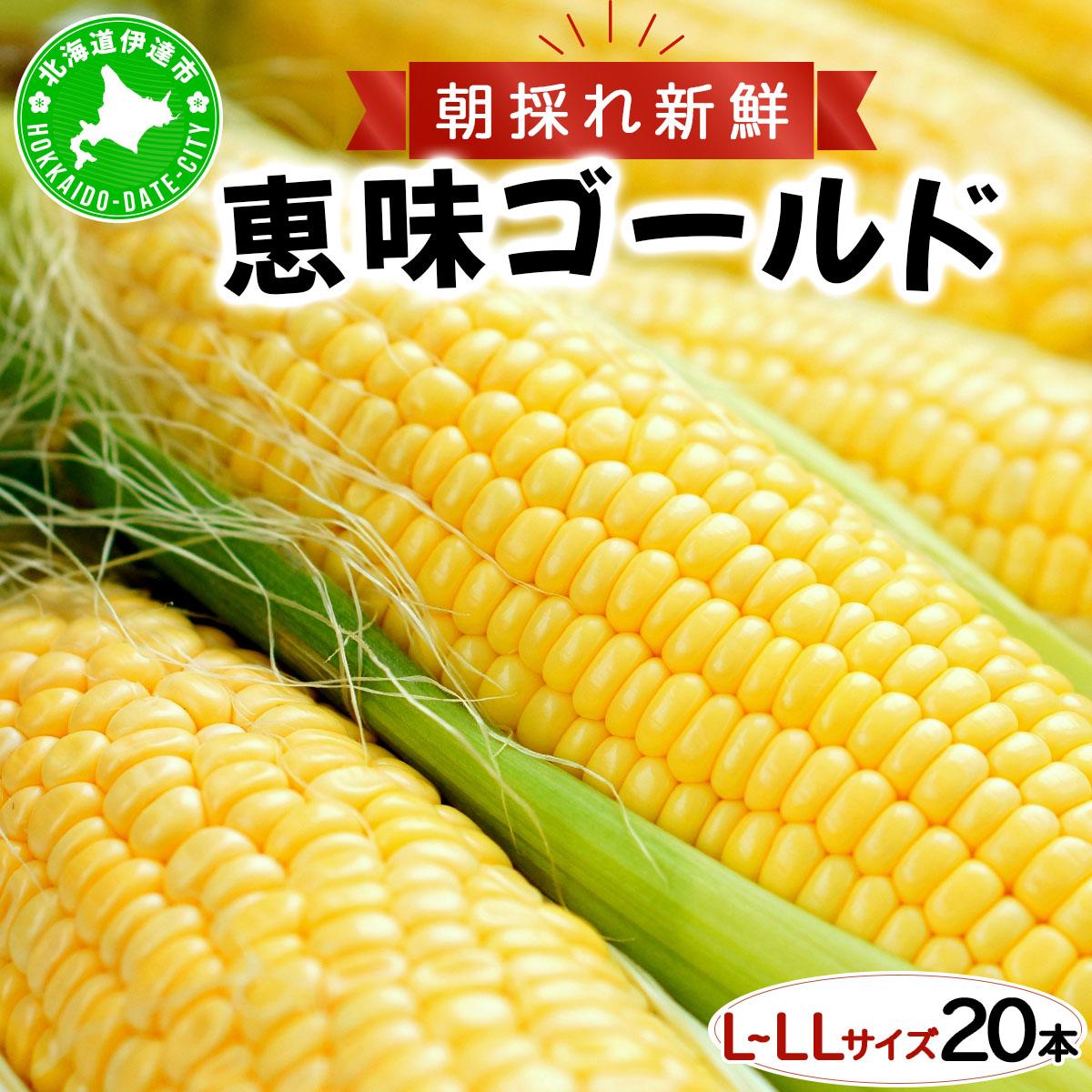 先行予約 【 2025年 発送 】北海道 朝もぎ とうもろこし 恵味 ゴールド L-LLサイズ 20本 スイート コーン トウモロコシ とうきび 旬 完熟 野菜 採れたて 朝採り 甘い めぐみ 産地直送 道産 送料無料