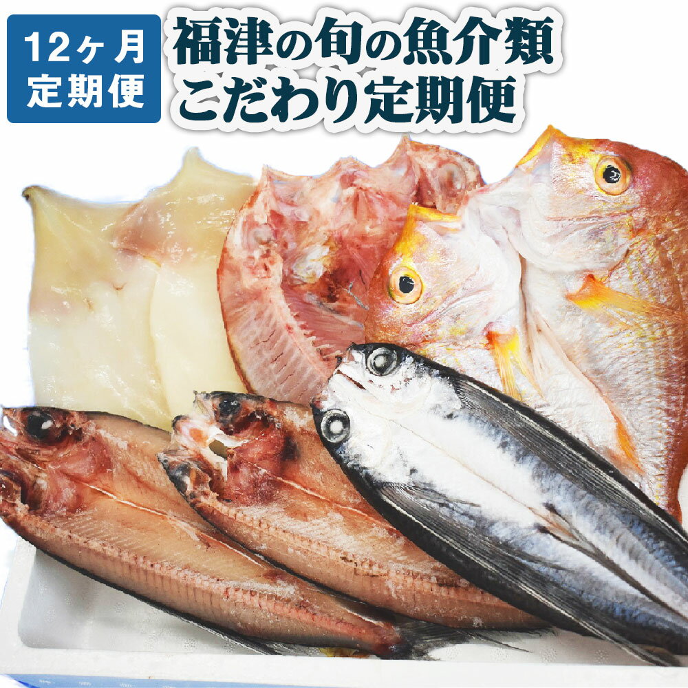 【ふるさと納税】【年12回毎月定期便】 福津の旬の魚介類こだわり定期便 魚 魚介類 イカ サザエ 真鯛 セット 地魚 コウイカ アオリイカ 定期便 新鮮 冷蔵 福津市産 送料無料 [G7017]