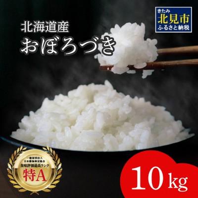 ふるさと納税 北見市 北海道産　おぼろづき　精白米　10kg
