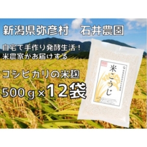 乾燥米こうじ 500g×12袋 新潟県認証特別栽培米 コシヒカリ使用 | 米麹