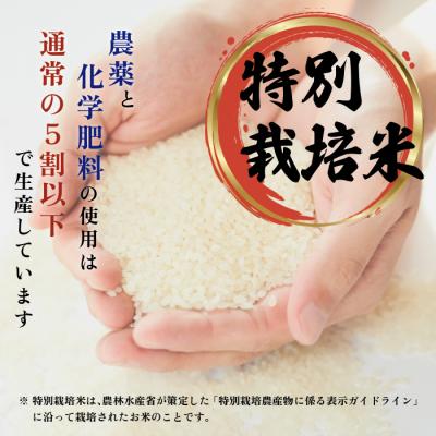 ふるさと納税 比布町 令和7年産 ナナプラザ 特別栽培米ゆめぴりか 2kg |  | 02