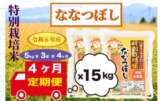 【定期便4回】北海道奈井江町　特別栽培米　ななつぼし　15kg