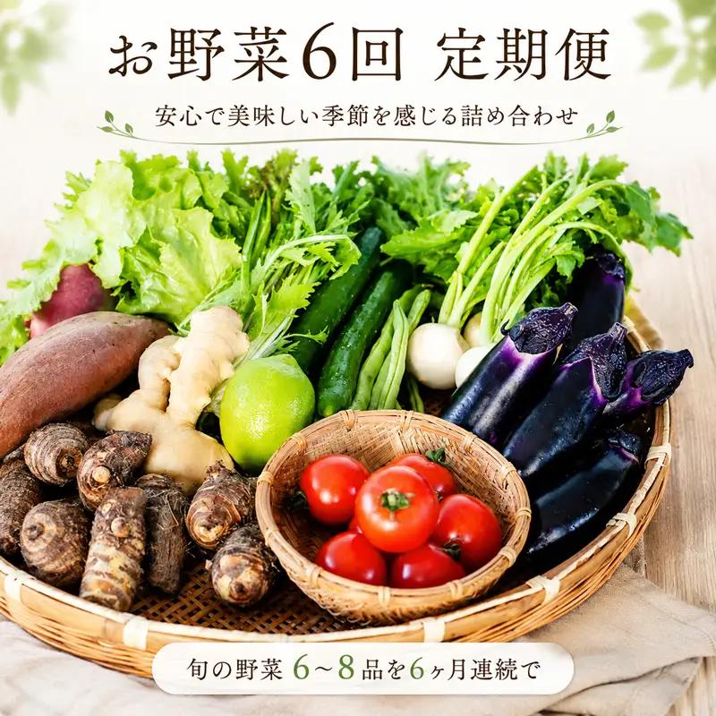 安心で美味しい 季節 お野菜6回 定期便コース 6か月 半年 野菜 詰め合わせ セット MR1000