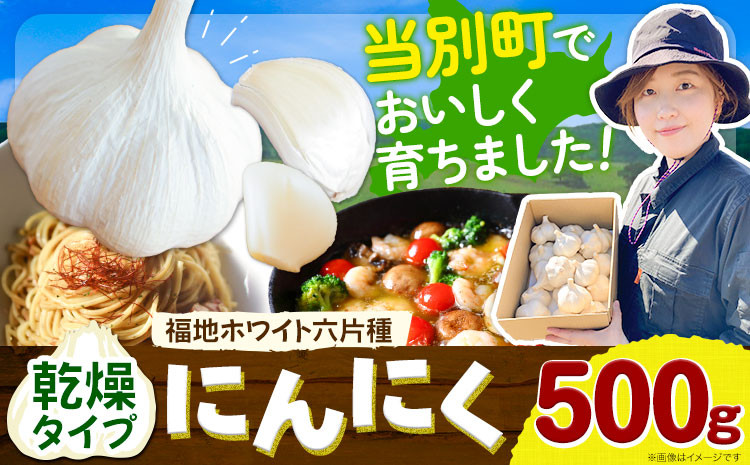 
[0.4-193]　【令和7年発送先行受付】にんにく（福地ホワイト六片種）500g
