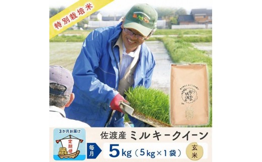 
                  【3か月定期便】佐渡島産ミルキークイーン 玄米5kg 令和7年産 特別栽培米
                