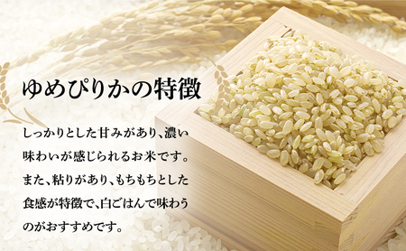 北海道南るもい産【ゆめぴりか】（玄米）10kg