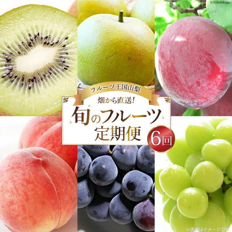 【ふるさと納税】【先行受付】【6回 定期便】 フルーツ王国 山梨県産 6種セット 100000円 10万円 [えべし 山梨県 中央市 21470866] フルーツ 果物 くだもの すもも もも 桃 梨 なし ぶどう シャインマスカット キウイ 【2026年7月上旬-2027年1月下旬発送予定】