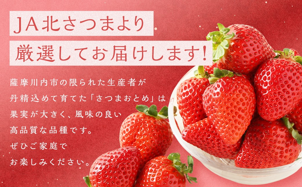 さつまおとめ 約250g×2トレー 合計 約500g
